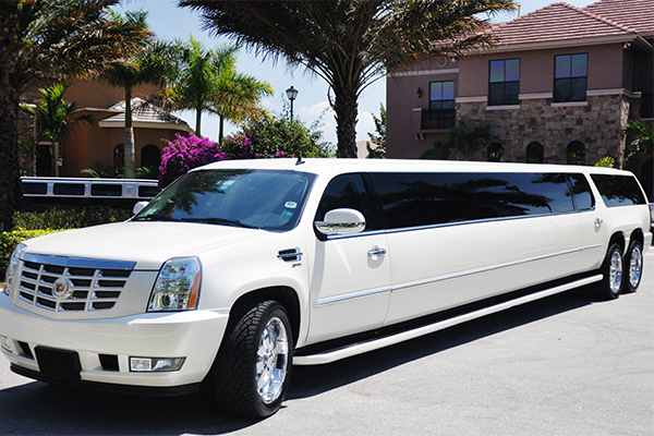 Wichita 20 Passenger Limo